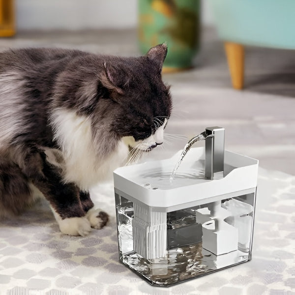 Fuente para beber que mejora la hidratación | PETSPRINGLE