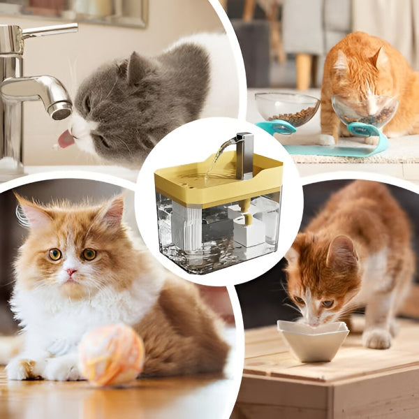 Fuente para beber que mejora la hidratación | PETSPRINGLE